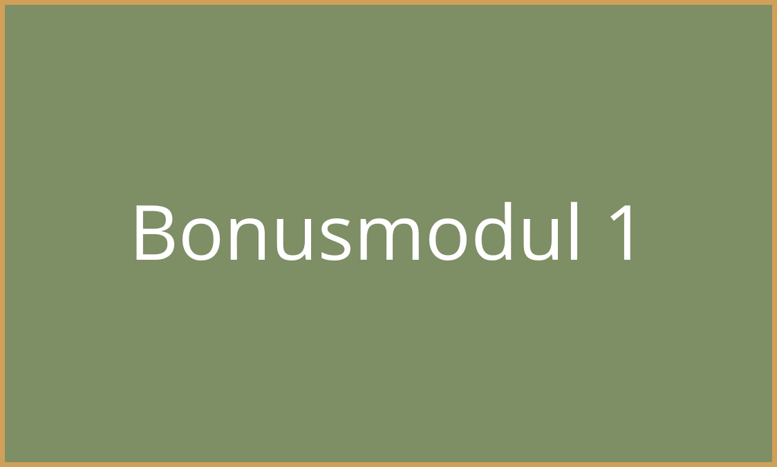 Bonusmodul 1
