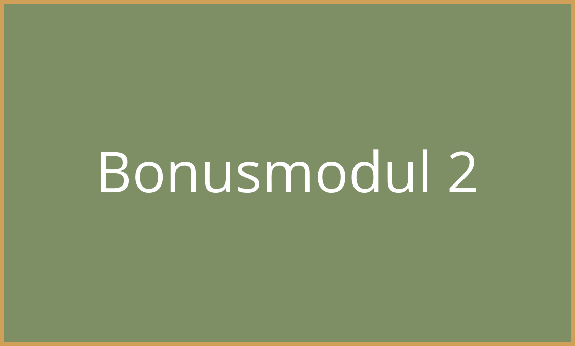 Bonusmodul 2