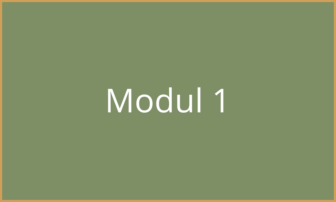 Modul 1