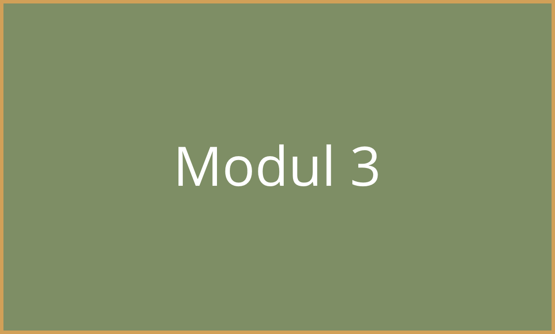 Modul 3