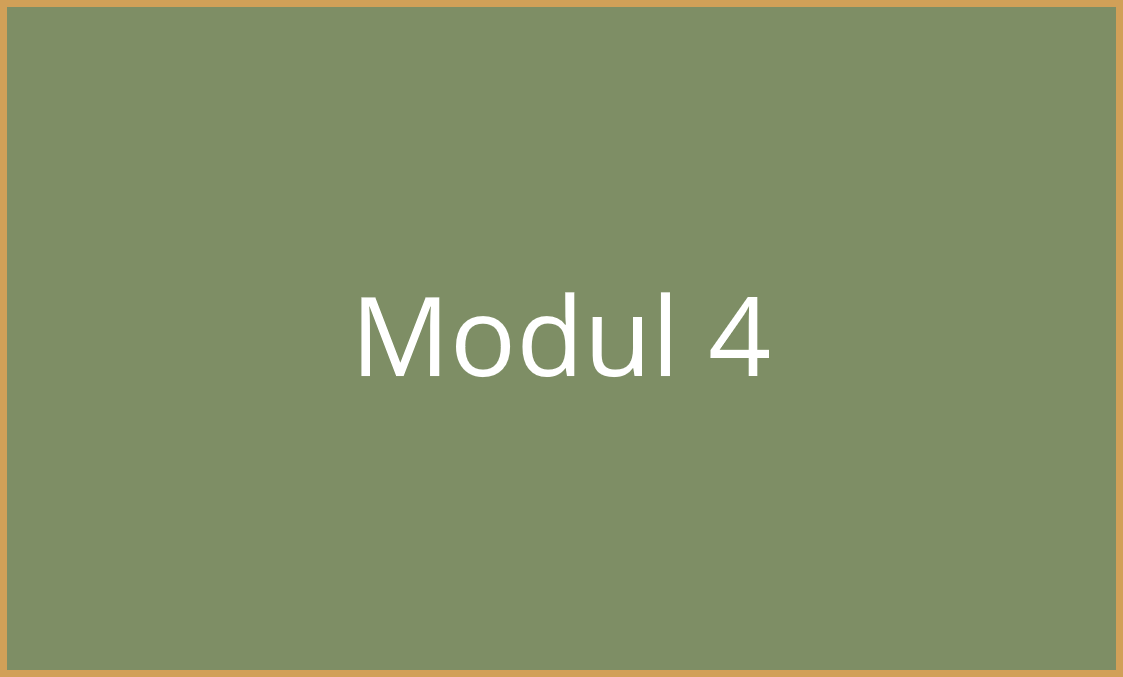 Modul 4